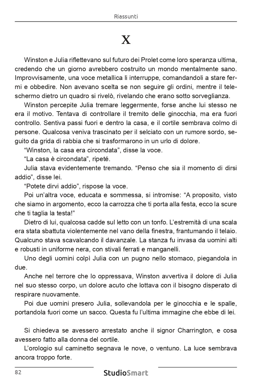 Riassunto del capitolo X di "1984 di Orwell", con Winston e Julia che riflettono sulla speranza e il futuro.