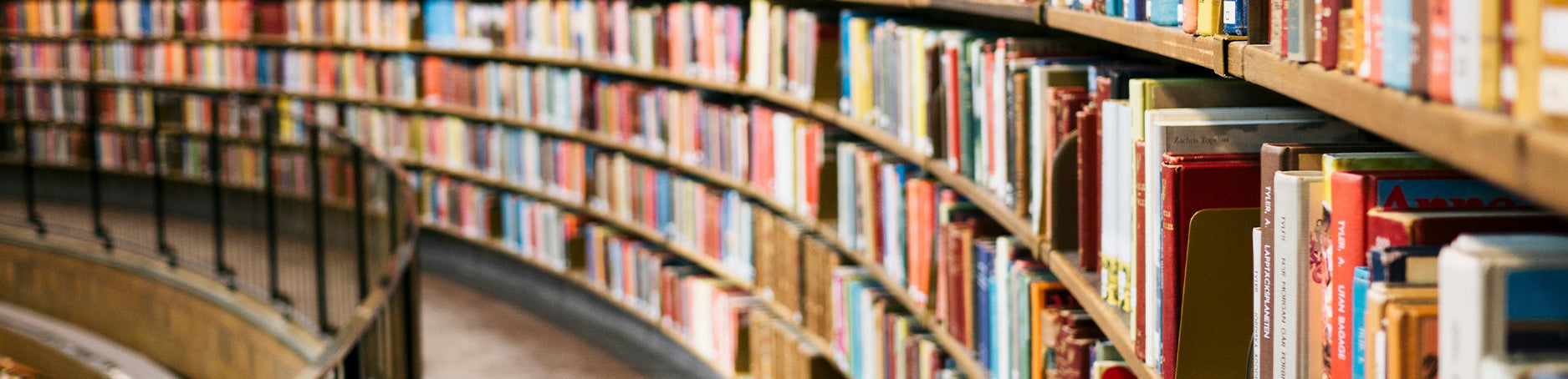 chi siamo portalbaeditori