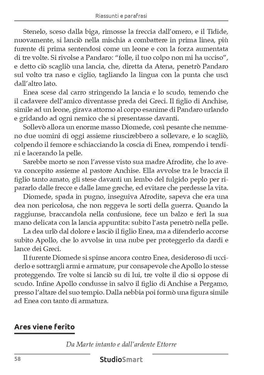 Iliade - Riassunti e parafrasi